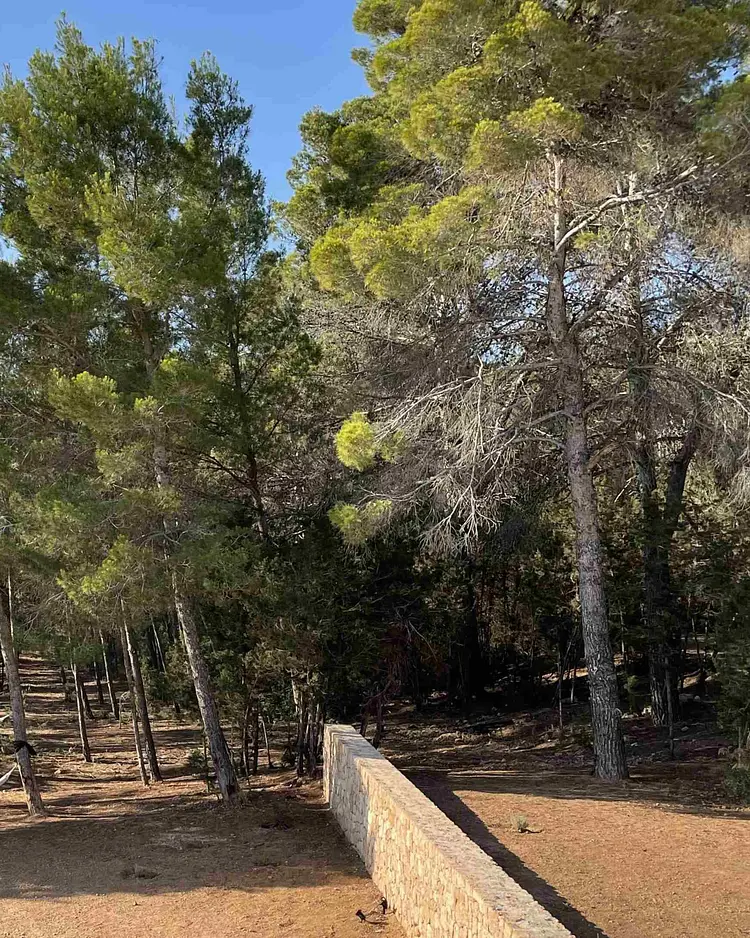 Apartment-Suites Ibiza - Sant Josep, Spanien | Good Travel