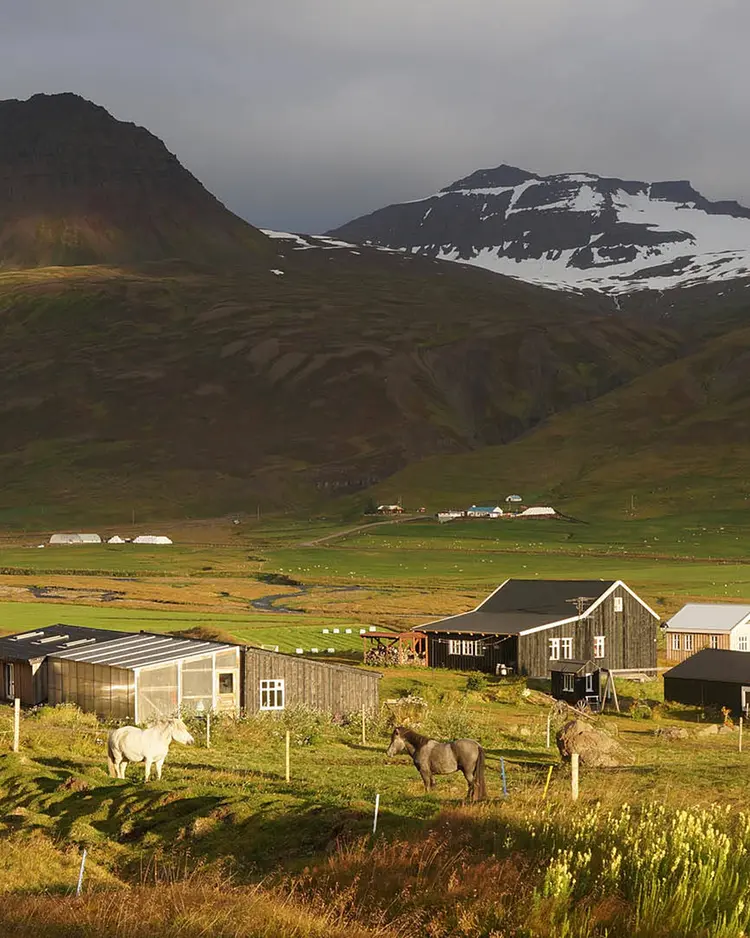 Skeið Vist - Dalvík, Island | Good Travel
