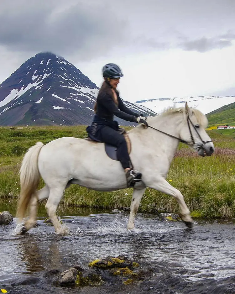Skeið Vist - Dalvík, Island | Good Travel