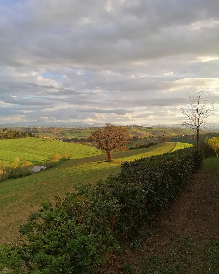 Solea Natural Relais - Trecastelli, Italien | Good Travel
