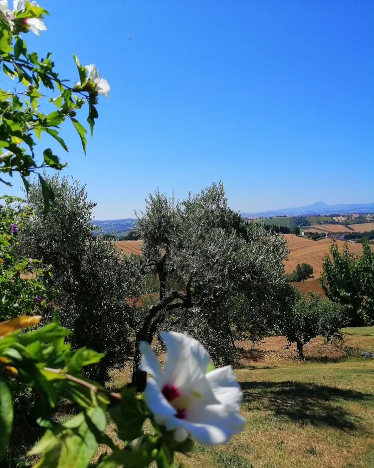 Solea Natural Relais - Trecastelli, Italy | Good Travel