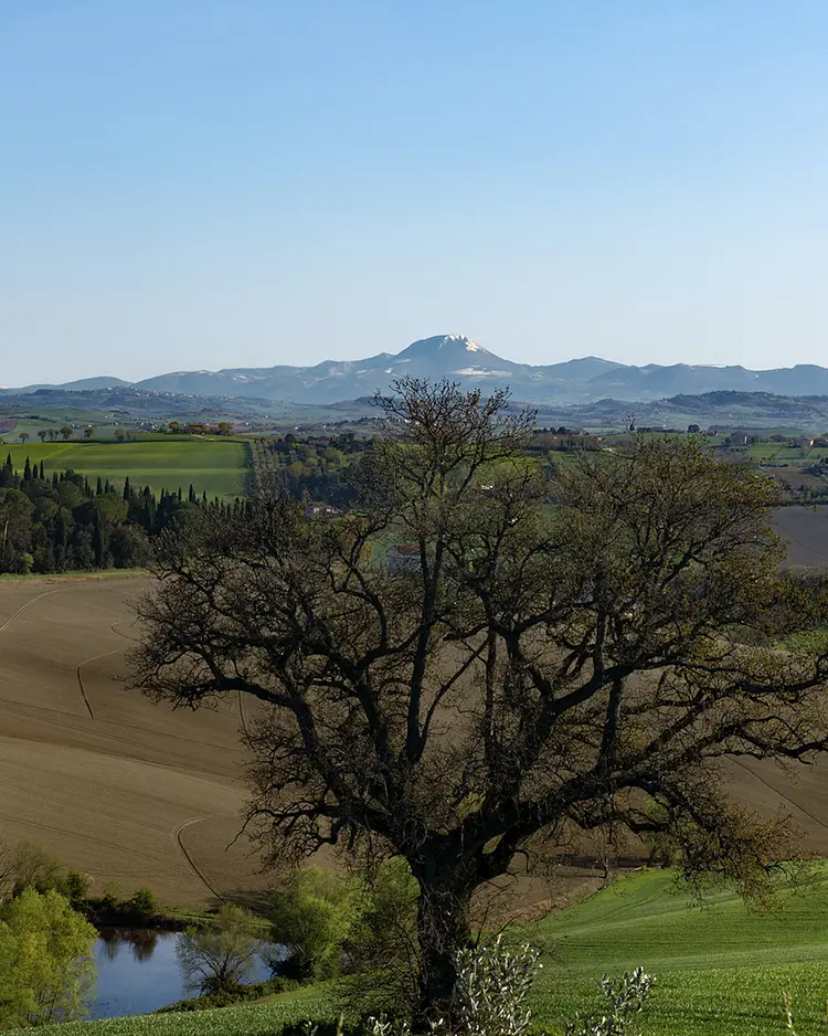 Solea Natural Relais - Trecastelli, Italy | Good Travel