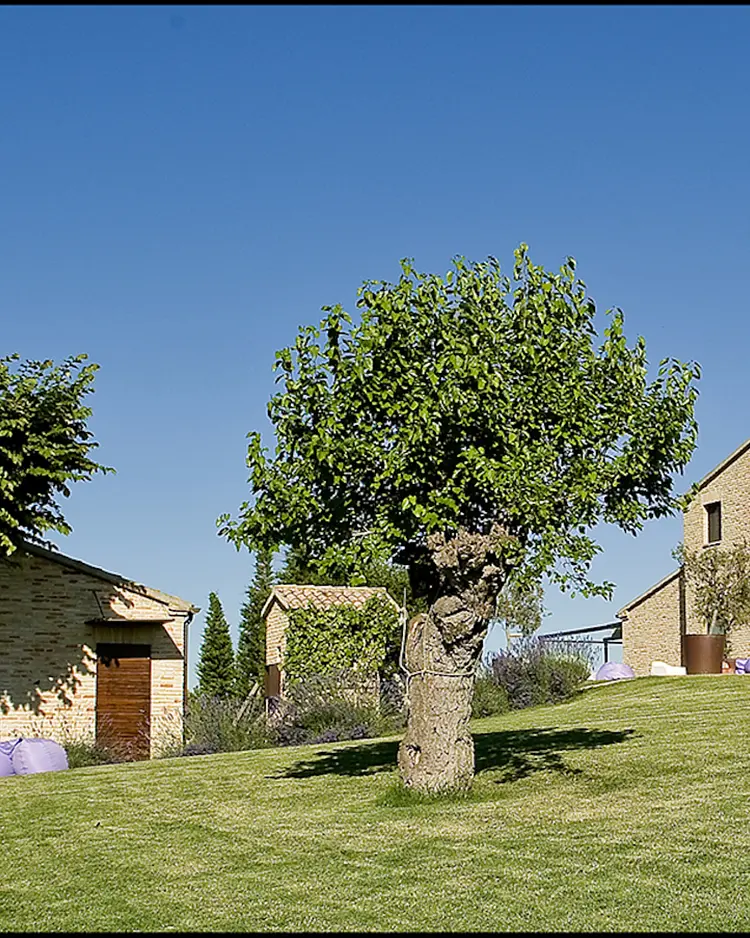 Solea Natural Relais - Trecastelli, Italy | Good Travel