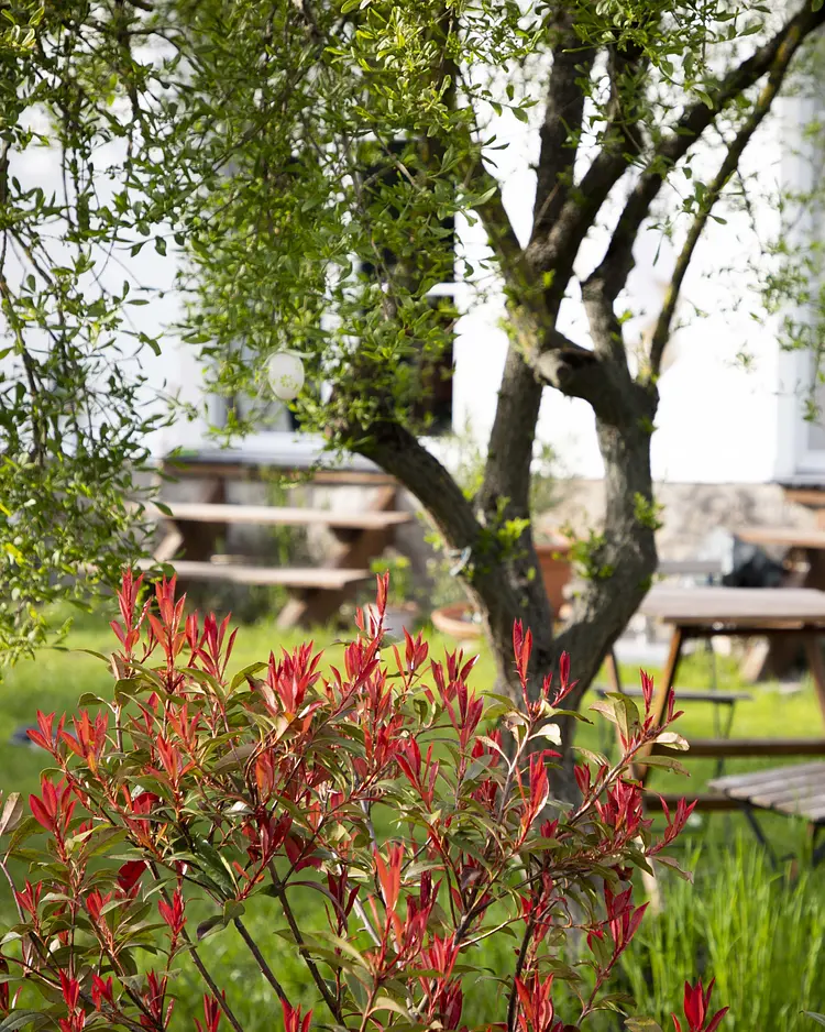 Sommerfrische Uckermark - Warnitz / Oberuckersee, Deutschland | Good Travel