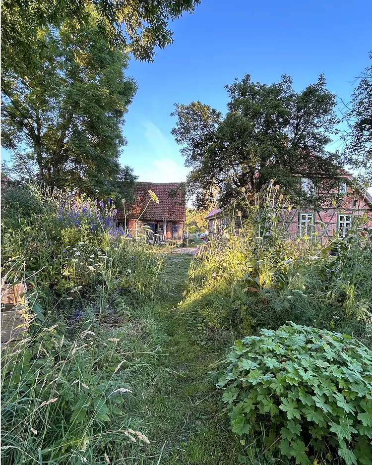 Sommerhaus Alt Jabel - Alt Jabel / Vielank, Germany | Good Travel