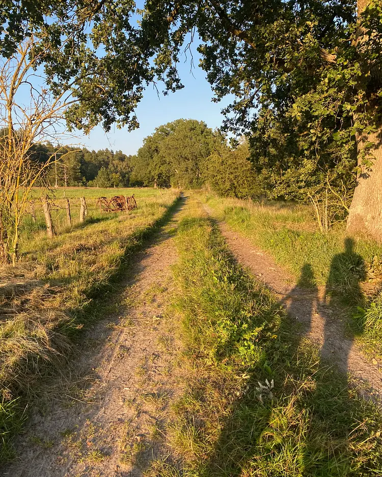 Sommerhaus Alt Jabel - Alt Jabel / Vielank, Germany | Good Travel