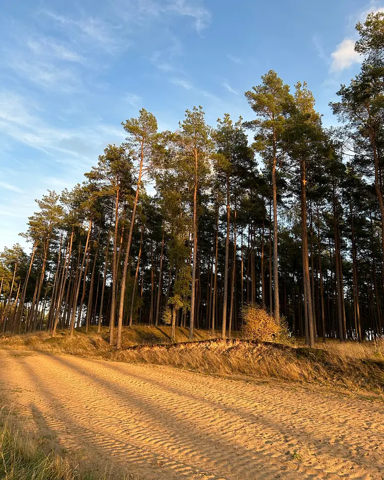 Sommerhaus Alt Jabel - Alt Jabel / Vielank, Germany | Good Travel