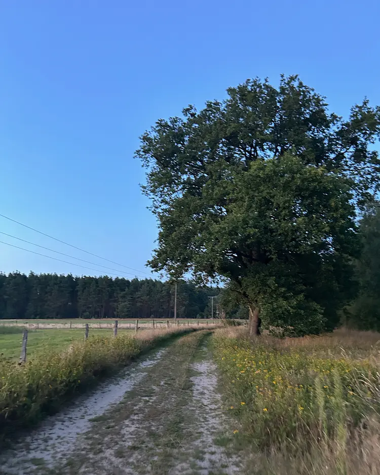 Sommerhaus Alt Jabel - Alt Jabel / Vielank, Germany | Good Travel