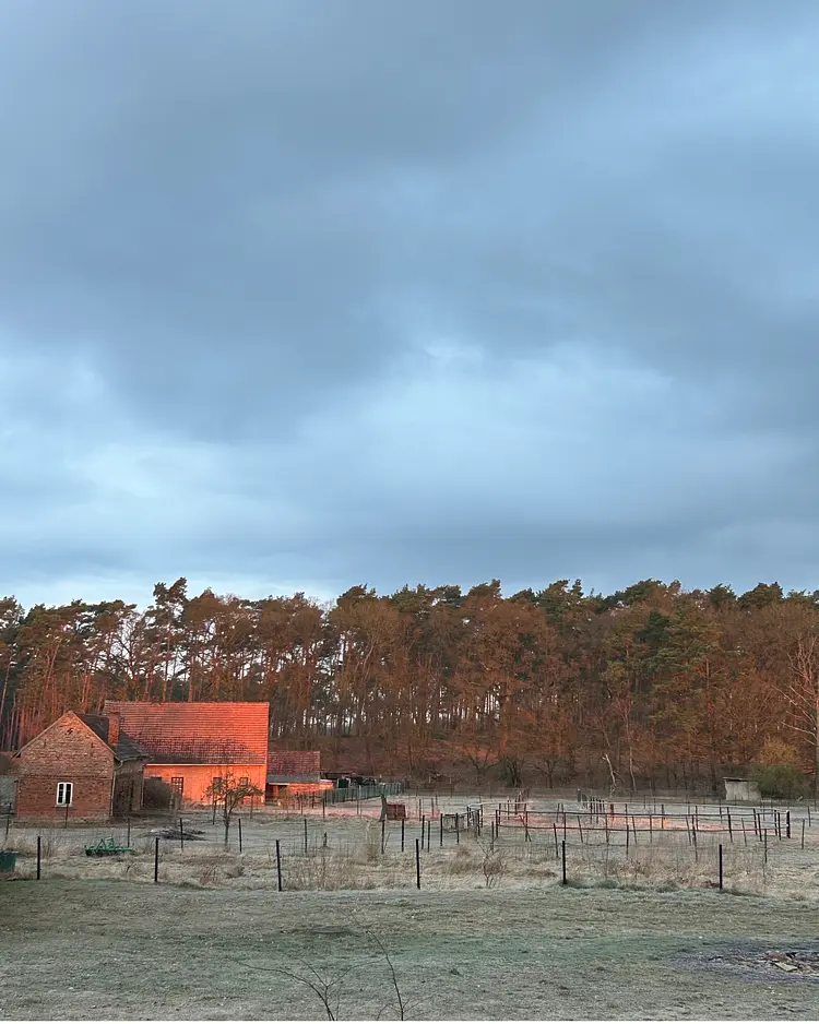 Sommerhaus Alt Jabel - Alt Jabel / Vielank, Germany | Good Travel