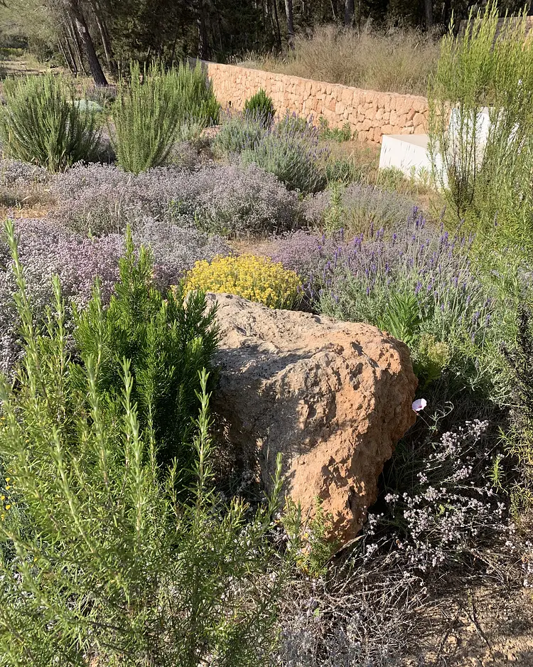 Apartment-Suites Ibiza - Sant Josep, Spain | Good Travel