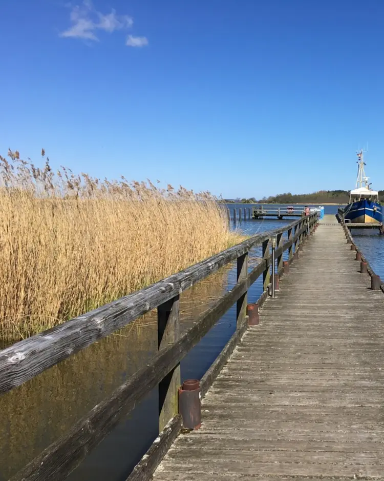 Apfelgarten Usedom - Reetzow, Deutschland | Good Travel