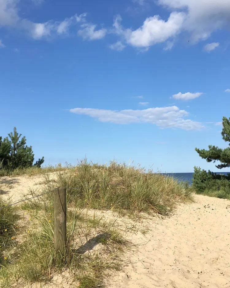 Apfelgarten Usedom - Reetzow, Deutschland | Good Travel