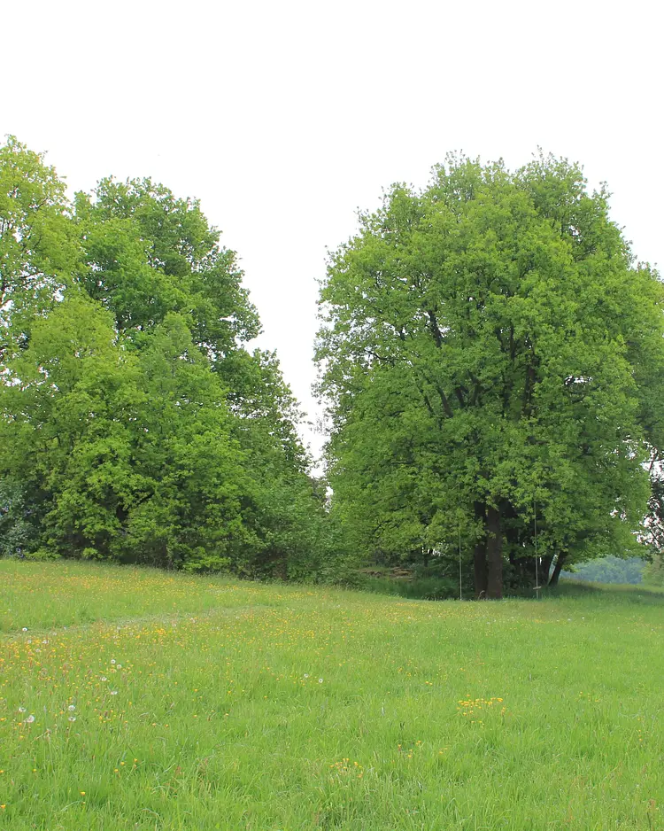 Apfelscheune - Malschwitz, Deutschland | Good Travel