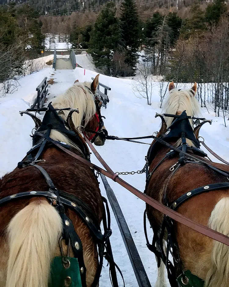 Acla Muragl - Pontresina, Switzerland | Good Travel