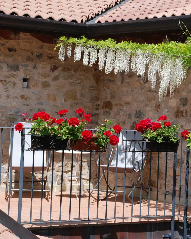 Podere Conti - Filattiera, Italy | Good Travel