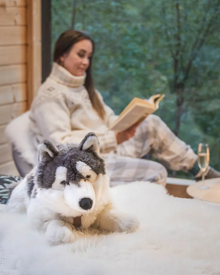 Polar Lights Lodge - Sirkka, Finland | Good Travel