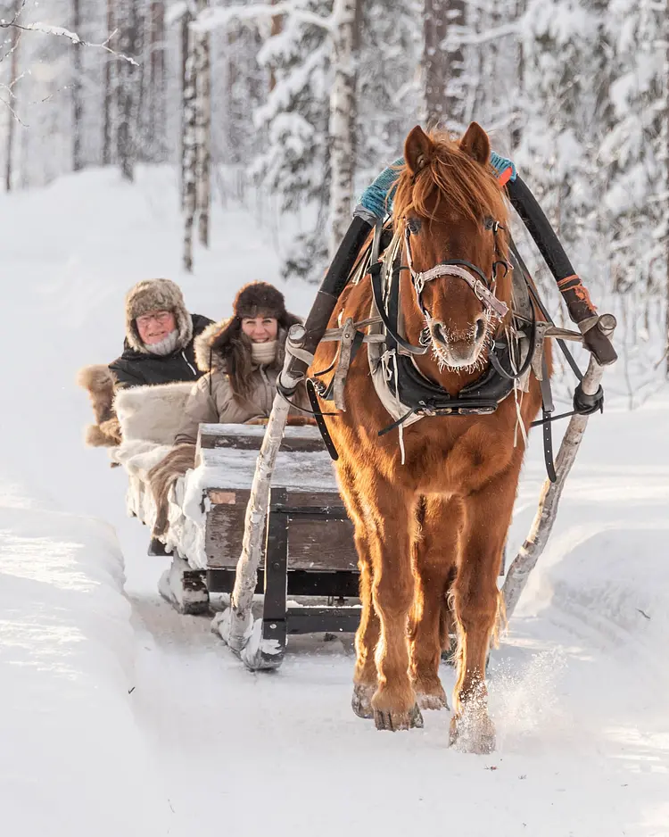 Polar Lights Lodge - Sirkka, Finland | Good Travel