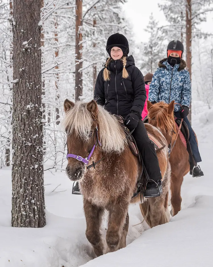 Polar Lights Lodge - Sirkka, Finland | Good Travel