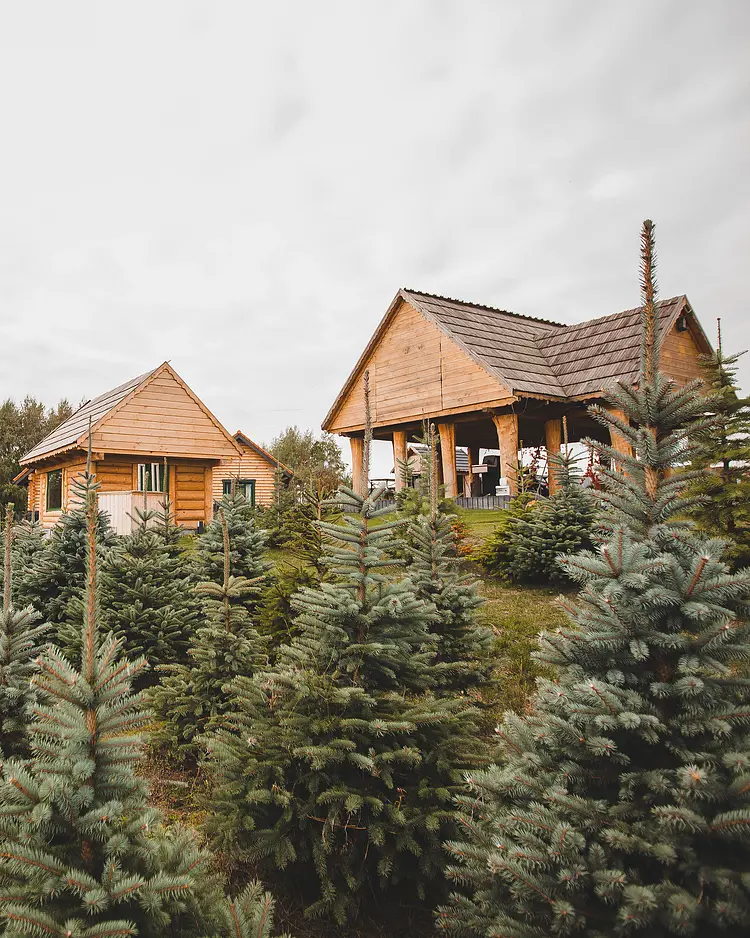 Rojst - Bartoszyce, Poland | Good Travel