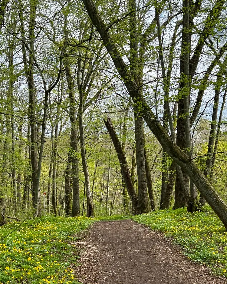 Rojst - Bartoszyce, Poland | Good Travel