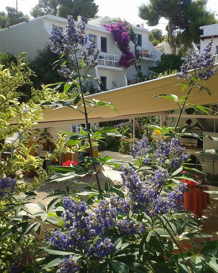 Rosy's - Agistri Island, Griechenland | Good Travel