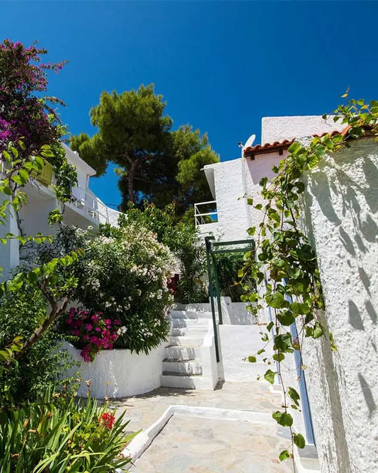 Rosy's - Agistri Island, Griechenland | Good Travel