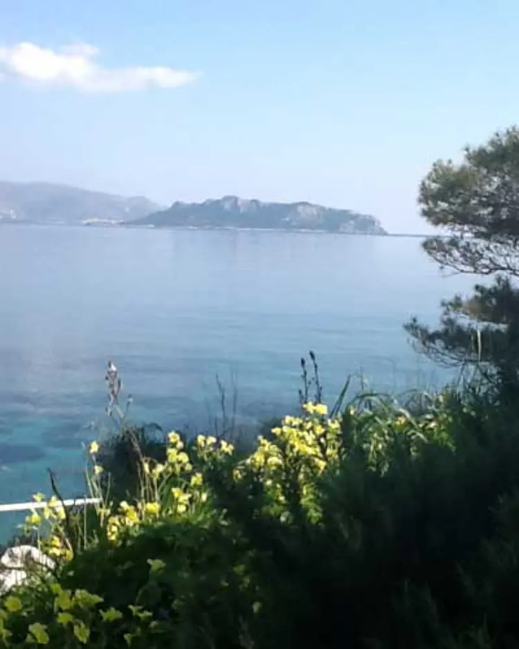 Rosy's - Agistri Island, Griechenland | Good Travel