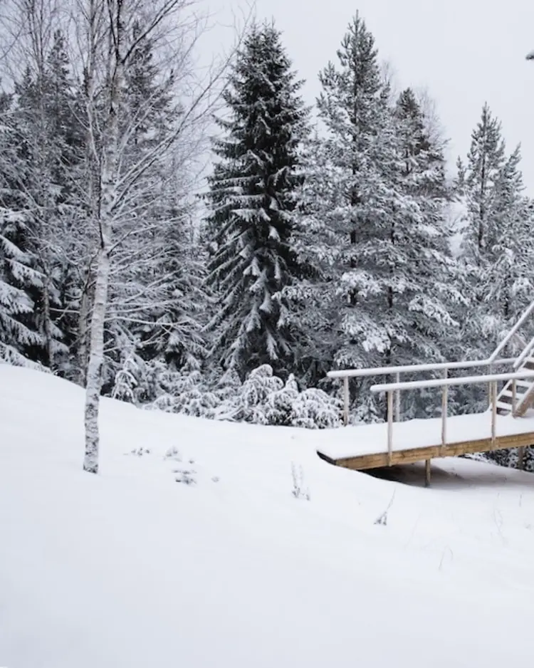 Bergaliv - Vallsta, Sweden | Good Travel