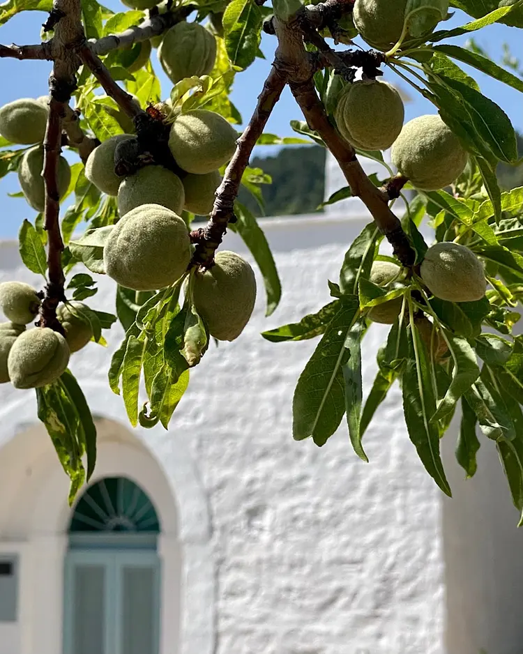 Borgo Fianco a Fianco - Fasano, Italien | Good Travel