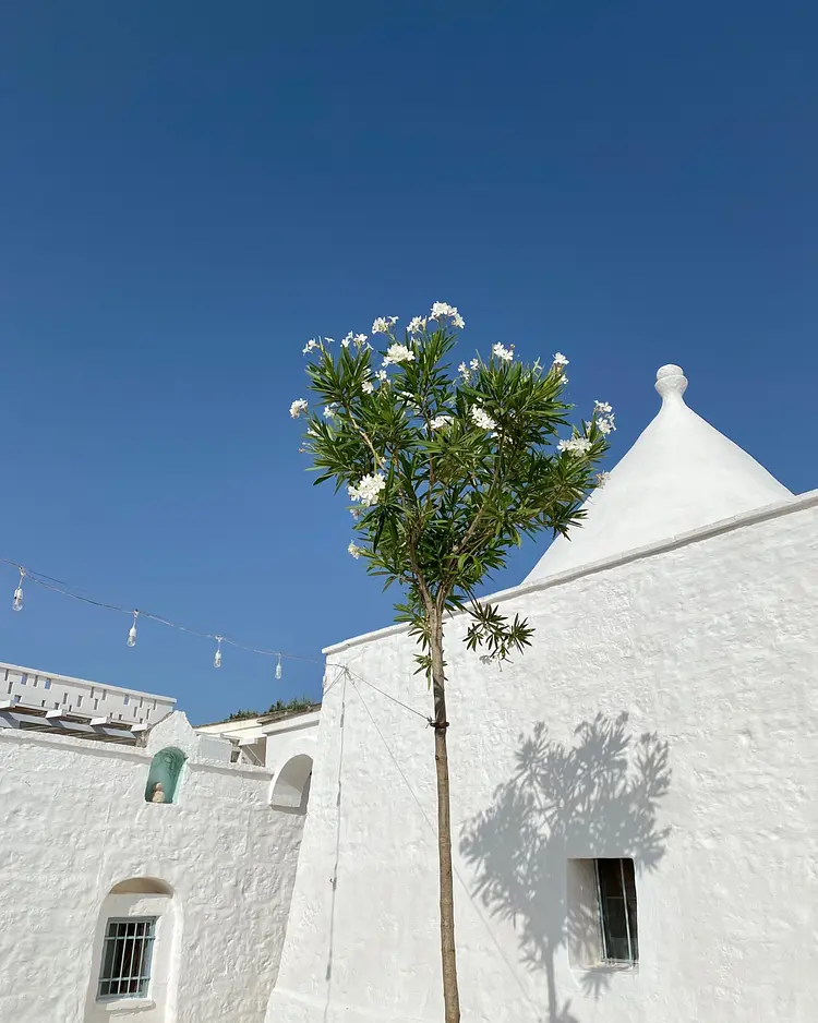 Borgo Fianco a Fianco - Fasano, Italien | Good Travel