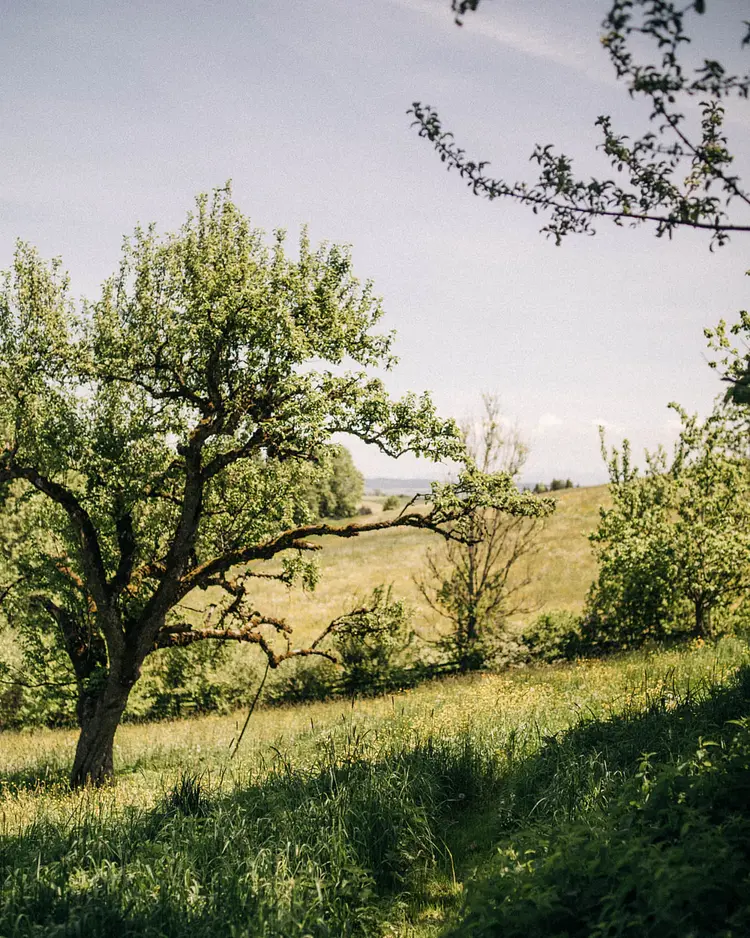 ROSSO - Altusried, Deutschland | Good Travel