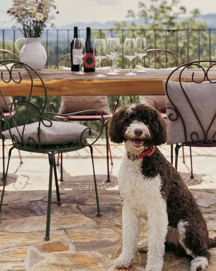 Am Wildbachberg - Deutschlandsberg, Österreich | Good Travel