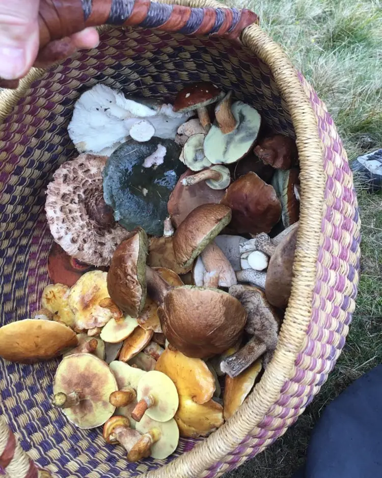 Casarasa - Intragna, Switzerland | Good Travel