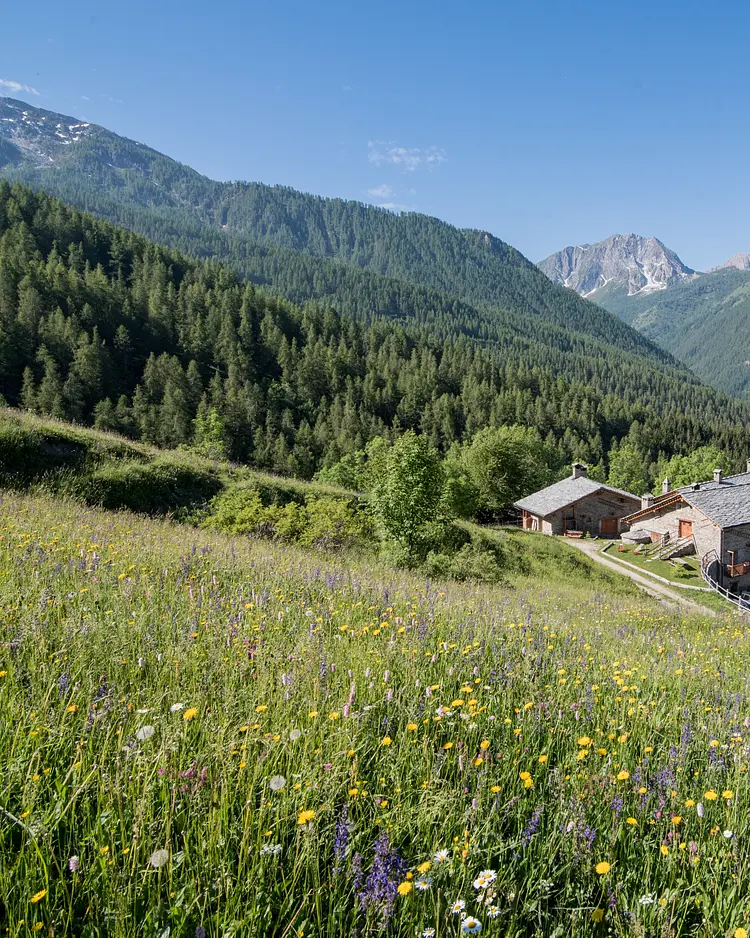 Sagna Rotonda - Marmora, Italien | Good Travel