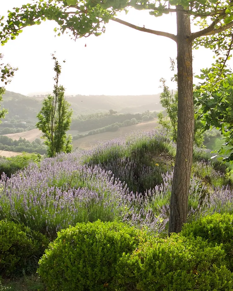 San Fiorano - Cagli, Italien | Good Travel