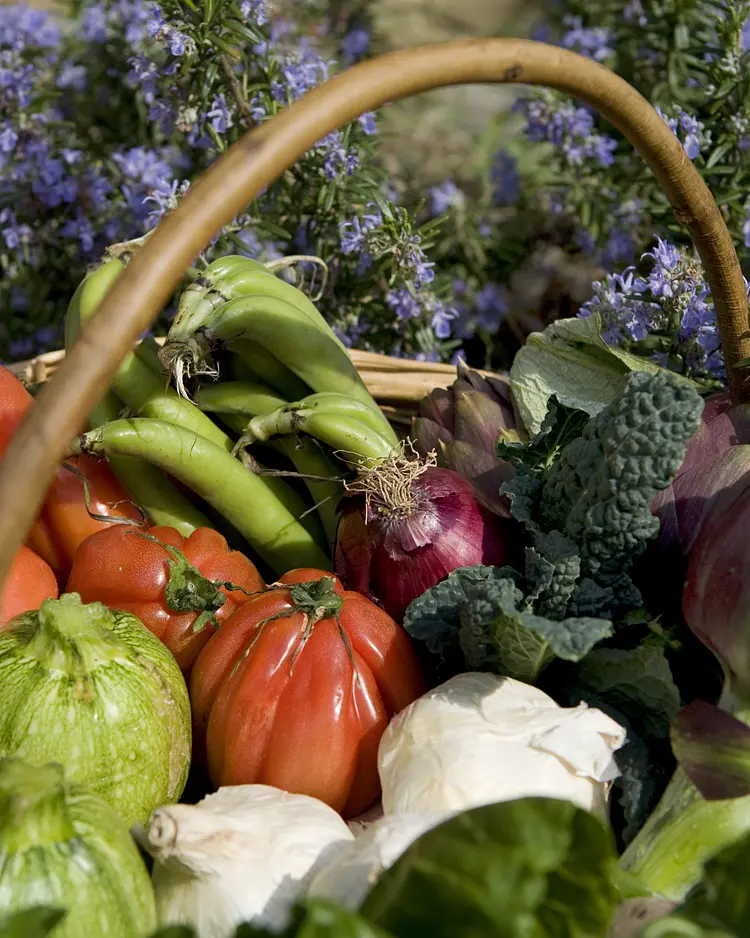 Locanda Casanuova - Figline Valdarno, Italien | Good Travel