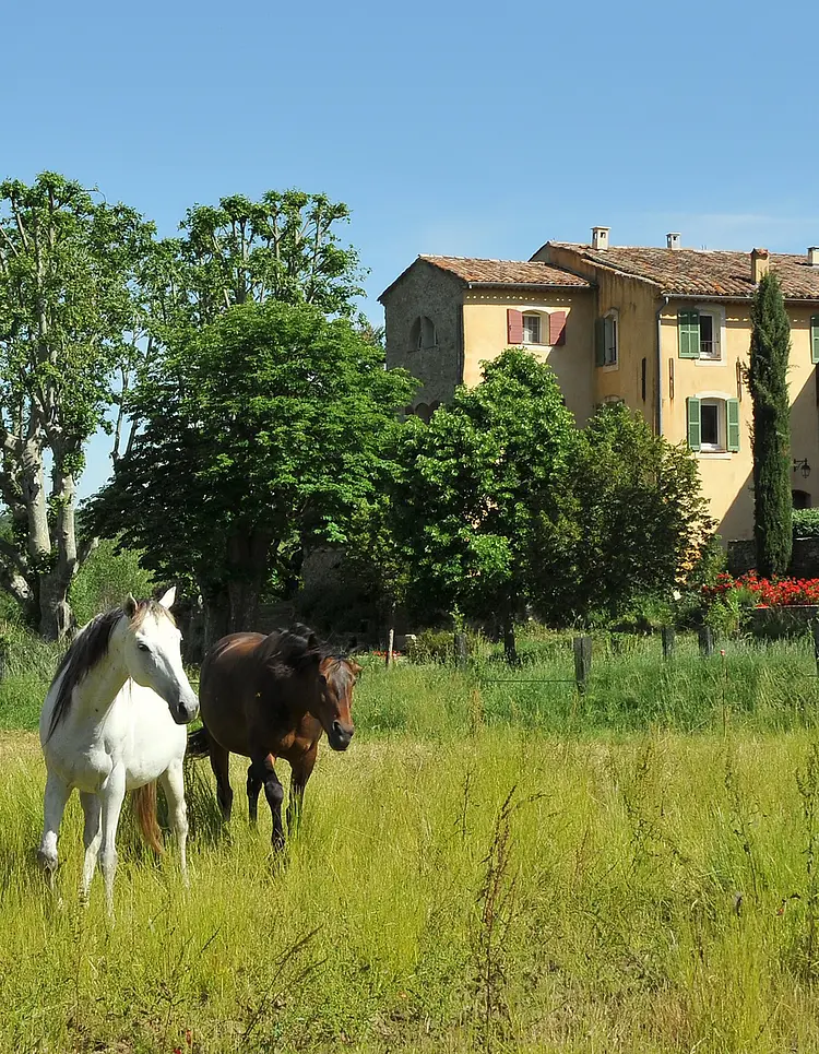 Une Campagne en Provence - Bras, Frankreich | Good Travel