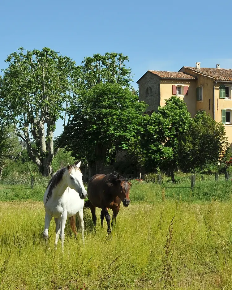 Une Campagne en Provence - Bras, Frankreich | Good Travel