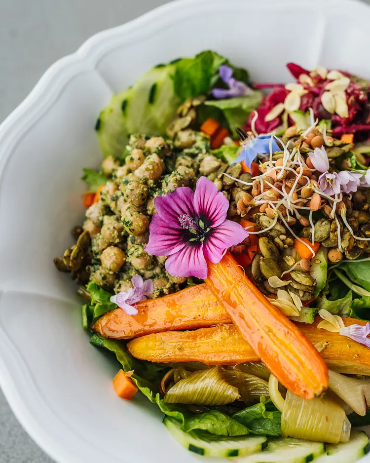 Vegan Agrivilla I Pini - San Gimignano, Italien | Good Travel