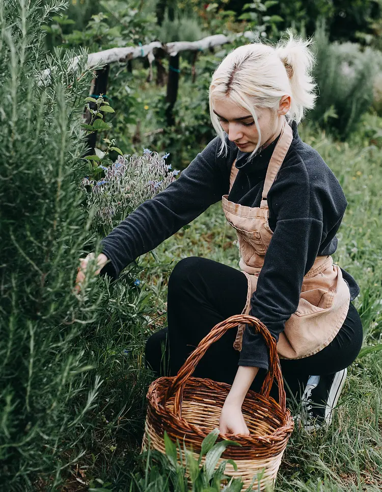 Vegan Agrivilla I Pini - San Gimignano, Italien | Good Travel
