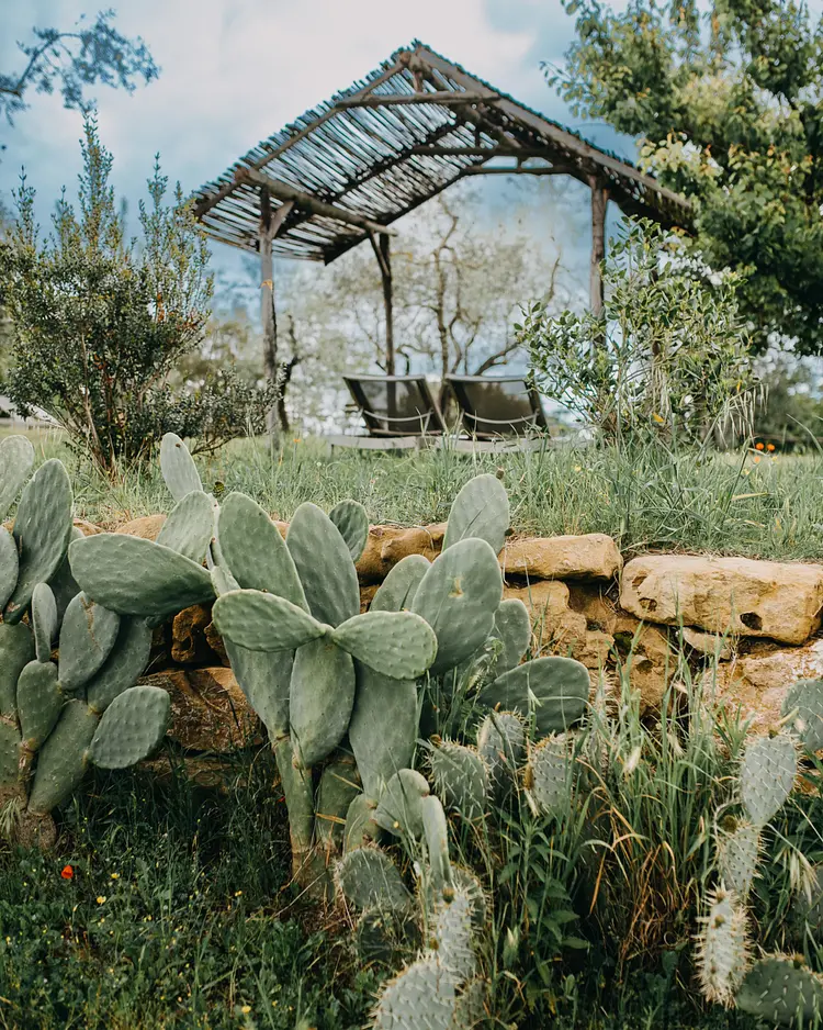 Vegan Agrivilla I Pini - San Gimignano, Italien | Good Travel