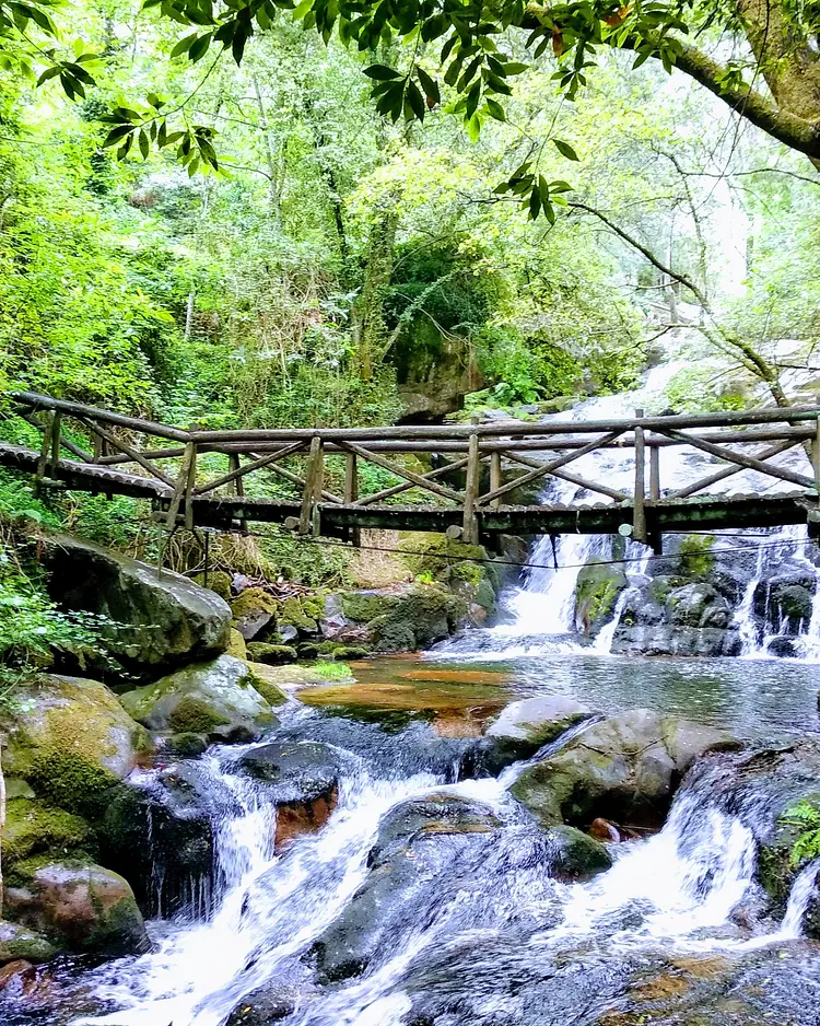 Verde Água - Souselo, Portugal | Good Travel