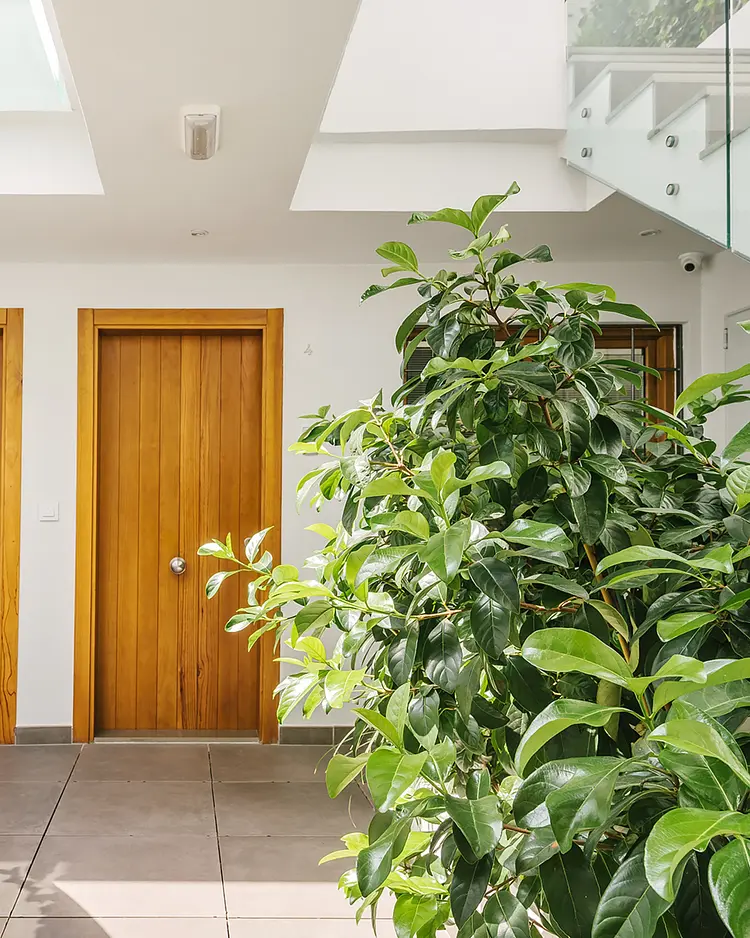 Barracart Apartments - Valencia, Spanien | Good Travel