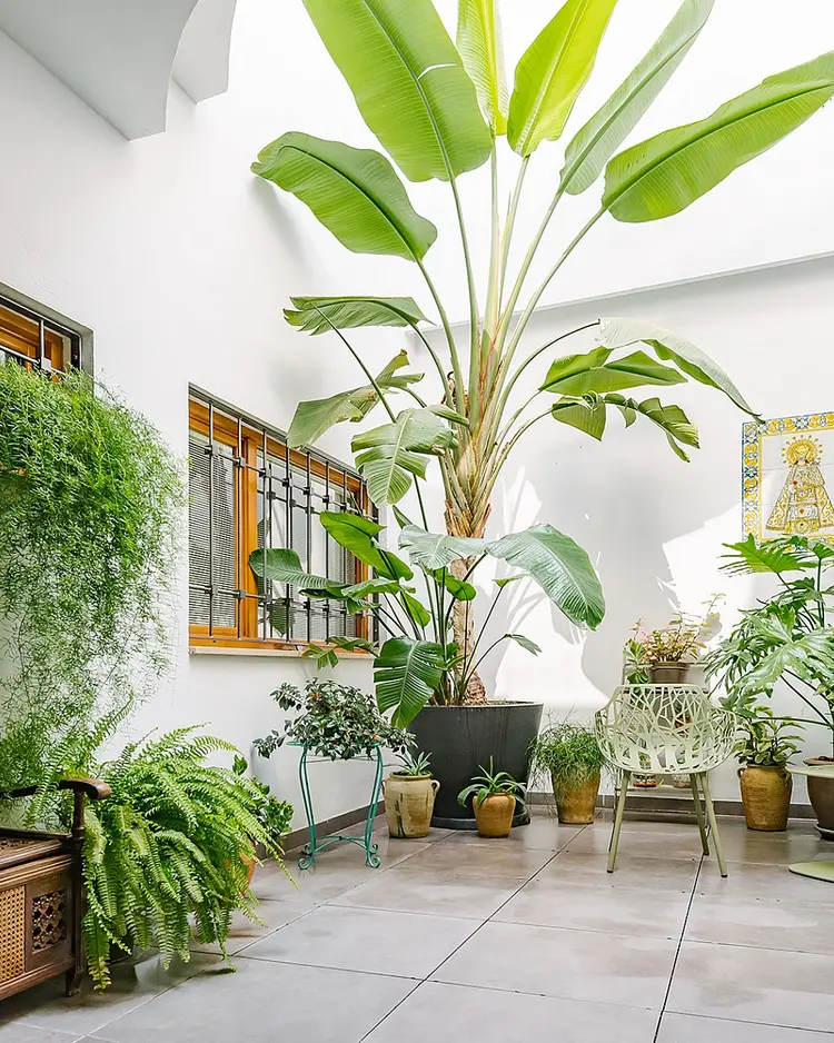 Barracart Apartments - Valencia, Spanien | Good Travel