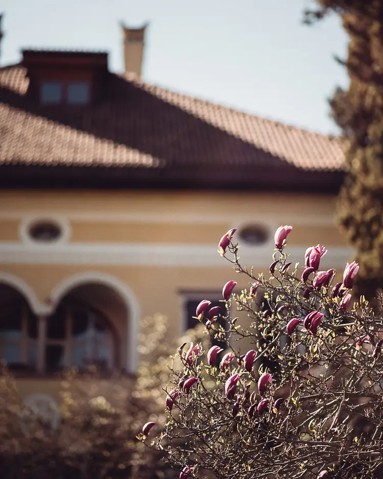 Villa Arnica - Lana, Italy | Good Travel