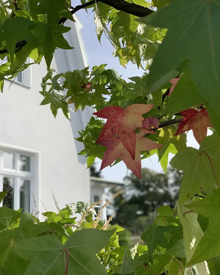 Villa Hygge - Ostseebad Binz auf Rügen, Germany | Good Travel