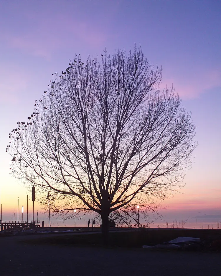 Villa La Rogaia - Passignano sul Trasimeno, Italien | Good Travel