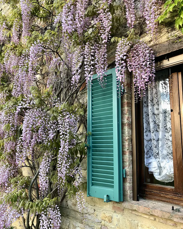 Villa Santa Caterina - Pierantonio, Italy | Good Travel