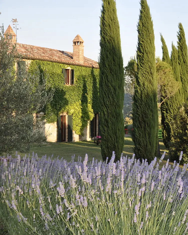 Villa Santa Caterina - Pierantonio, Italy | Good Travel