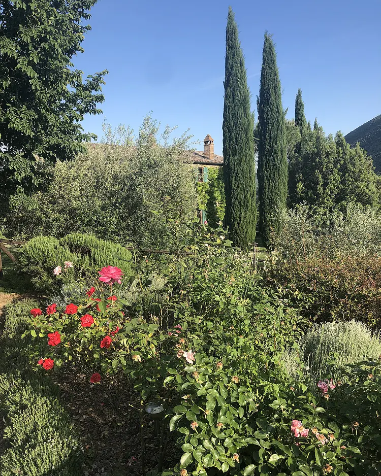 Villa Santa Caterina - Pierantonio, Italy | Good Travel